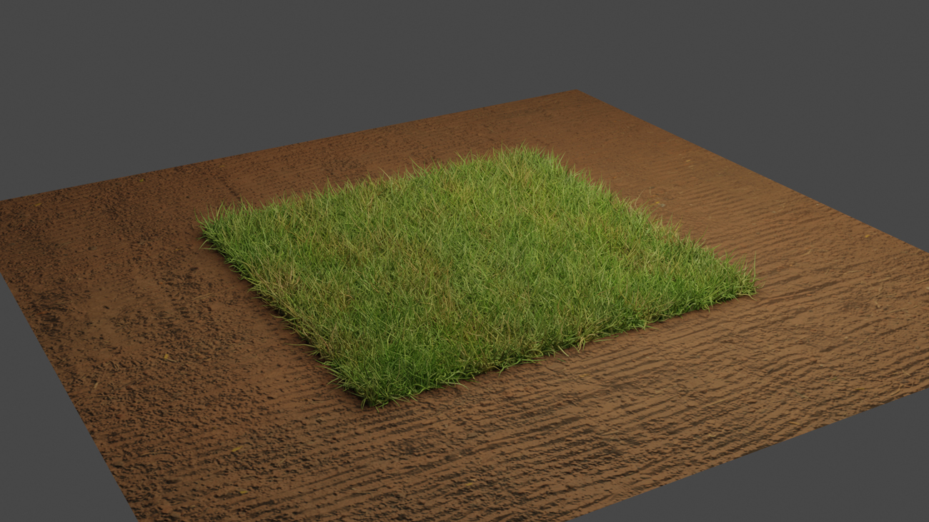 Grass on Field